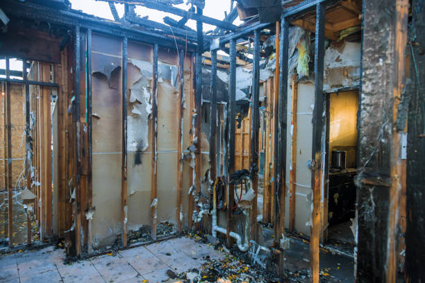 Professional Fire Damage Removal technician working in Perry, UT